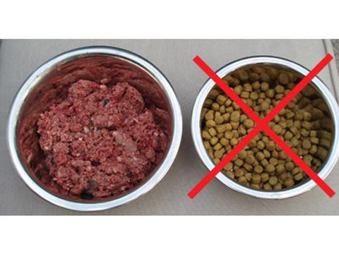 Can I Mix Kibble & Raw