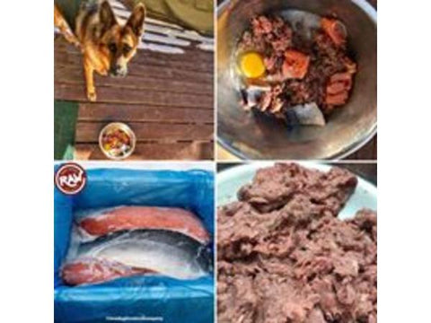 Rotational Diet Menu/Suggestions