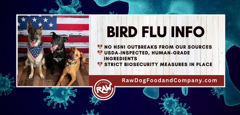 Bird Flu Information