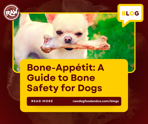Bone-Appétit: A Guide to Bone Safety for Dogs