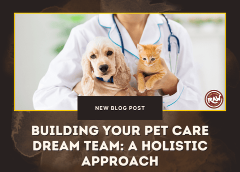 Building Your Pet Care Dream Team: A Holistic Approach