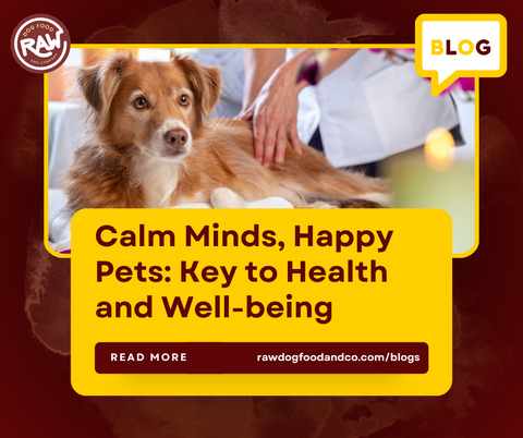 Calm Minds, Happy Pets: Key to Health and Well-being