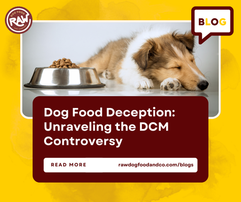 Dog Food Deception: Unraveling the DCM Controversy
