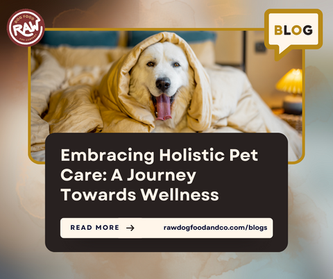 Embracing Holistic Pet Care: A Journey Towards Wellness