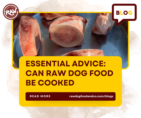 Essential Advice: Can Raw Dog Food Be Cooked?