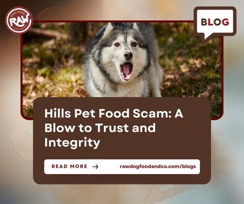 Hills Pet Food Scam: Trust and Integrity Problems Now Arise