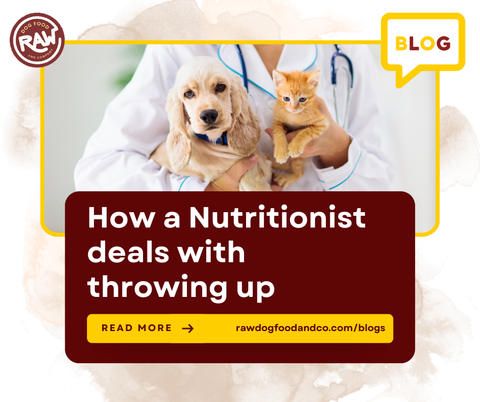 How a nutritionist deals with throwing up