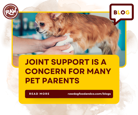 Joint support is a concern for many pet parents. 