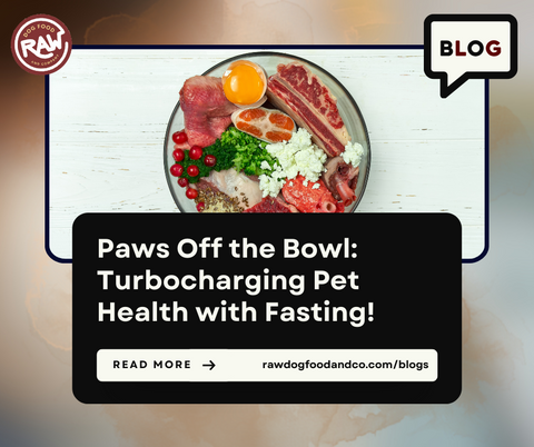 Paws Off the Bowl: Turbocharging Pet Health with Fasting!