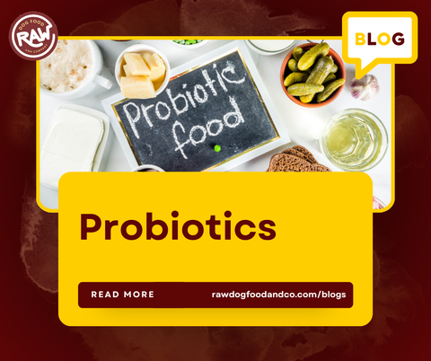 Probiotics