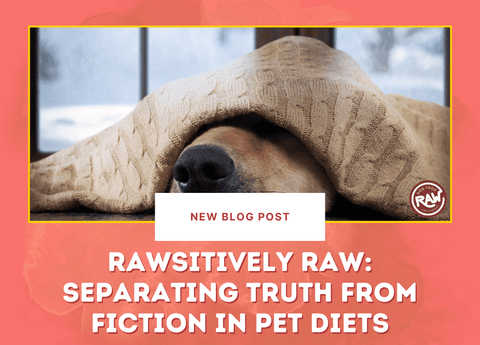 Rawsitively Raw: Separating Truth from Fiction in Pet Diets