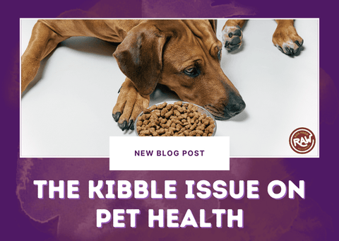 The Kibble Issue on Pet Health