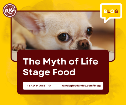 The Myth of Life Stage Food