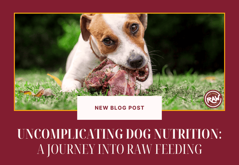 Uncomplicating Dog Nutrition: A Journey into Raw Feeding
