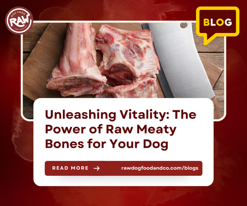 Unleashing Vitality: The Power of Raw Meaty Bones for Your Dog