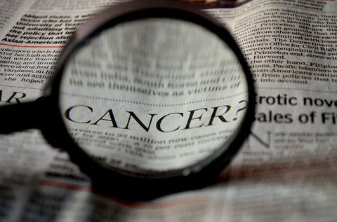 Cancer in Pets