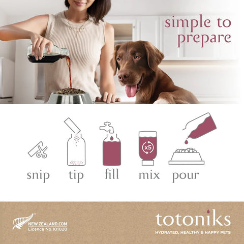 Totoniks Starter Pack