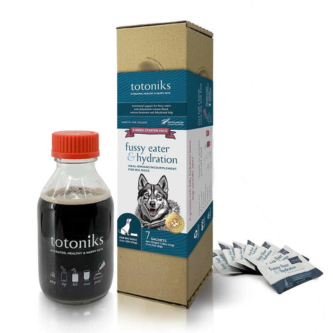 Totoniks Starter Pack