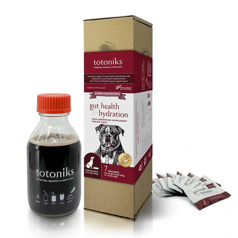 Totoniks Starter Pack
