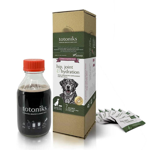 Totoniks Starter Pack