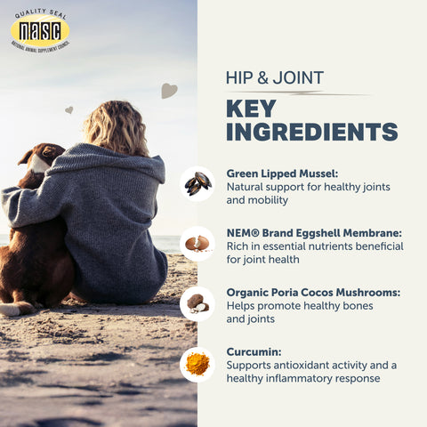 Hip & Joint Supplement