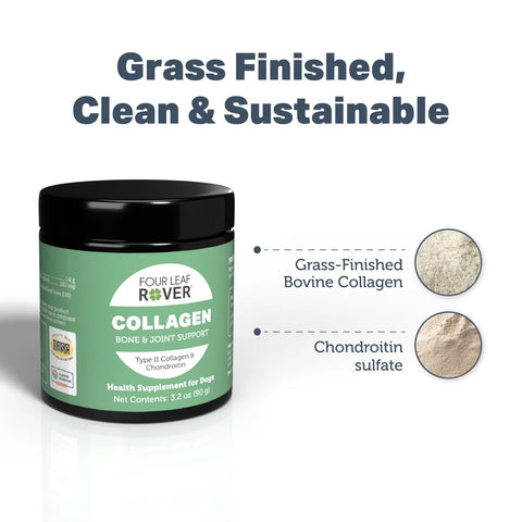 Collagen