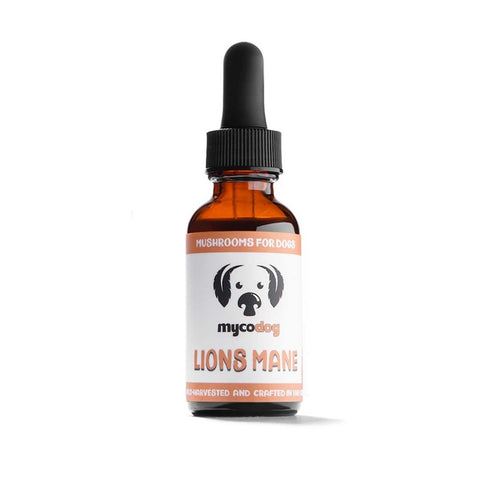 Lion's Mane Single Mushroom Extract