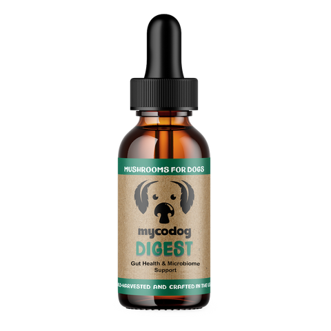 Digest For Dogs