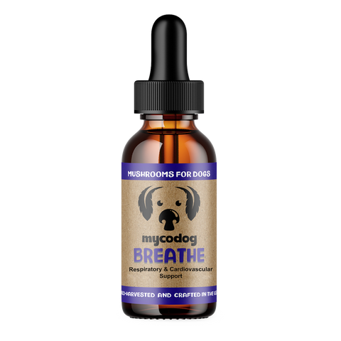 Breathe For Dogs