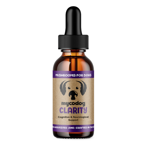 Clarity For Dogs