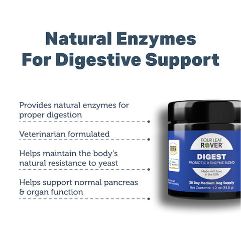 Organ Care (Formerly Digest) - Digestive Enzyme Support