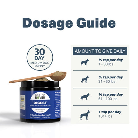 Organ Care (Formerly Digest) - Digestive Enzyme Support