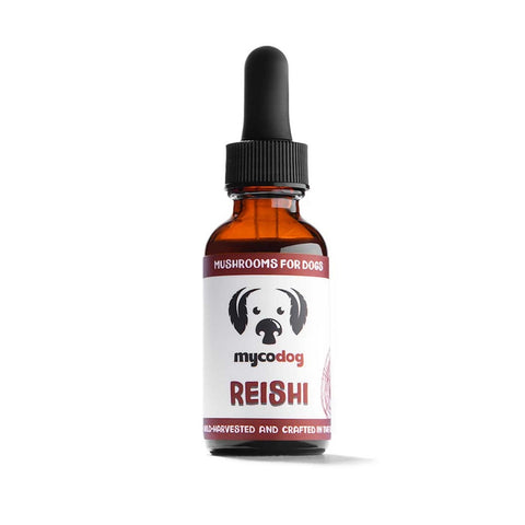 Reishi Single Mushroom Extract