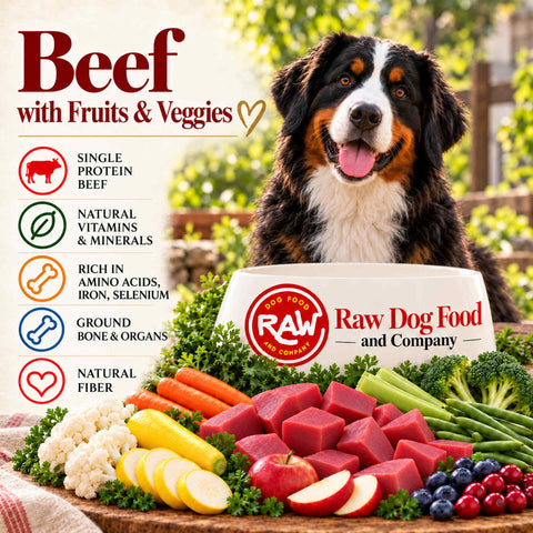 Beef Recipe (with fruits and veggies)