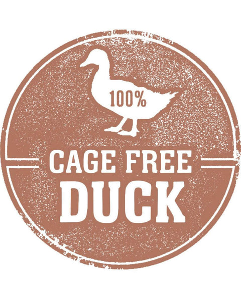 Freeze Dried Duck Feet (12 oz)