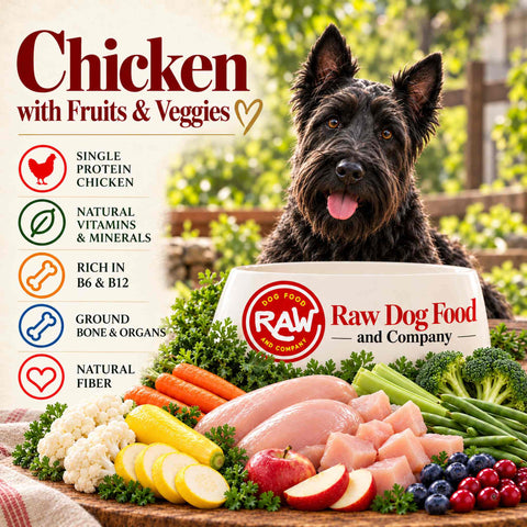 Chicken Recipe (with fruits and veggies)