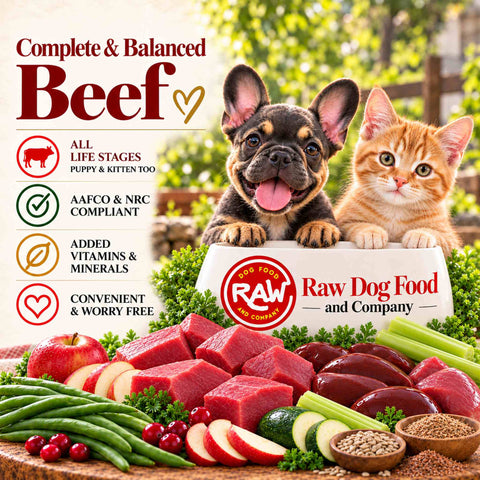 Complete Beef Recipe