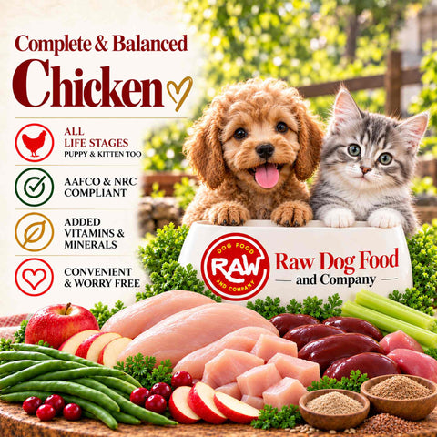Complete Chicken Recipe