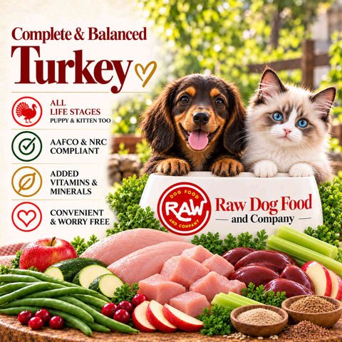 Complete Turkey Recipe