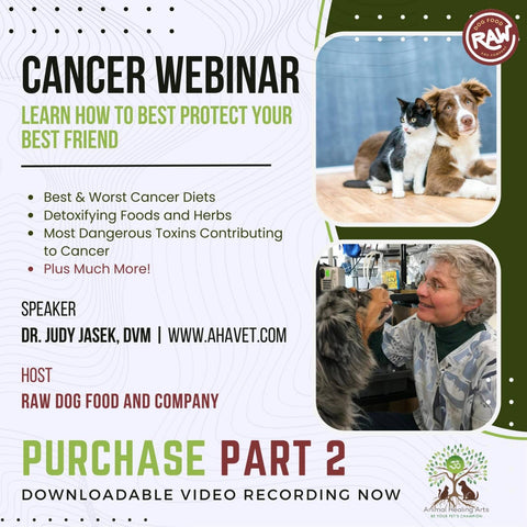 Cancer Webinar Series Part 2 - Holistic Vet Dr. Judy Jasek, DVM