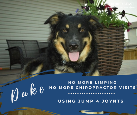 Jump For JOYnts - Extra Strength - Arthritis- Joint Aches