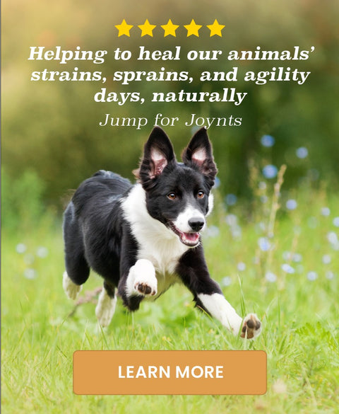 Jump For JOYnts - Extra Strength - Arthritis- Joint Aches