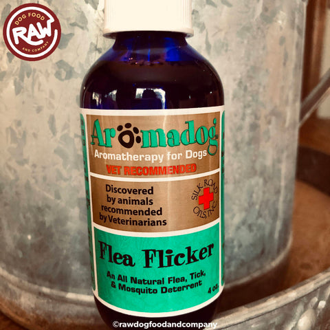 Flea Flicker A Natural Way to Repel Fleas