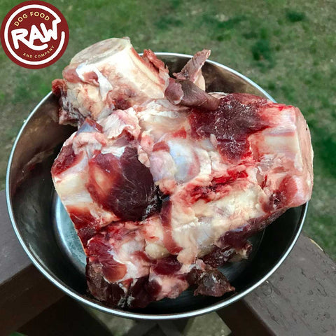 Bison Knuckle Dog Bones (10 lb)