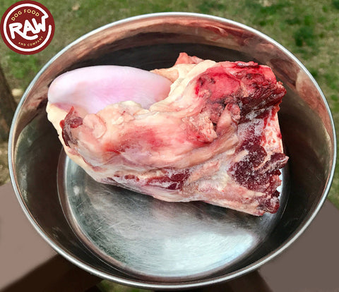 Bison Knuckle Dog Bones (10 lb)