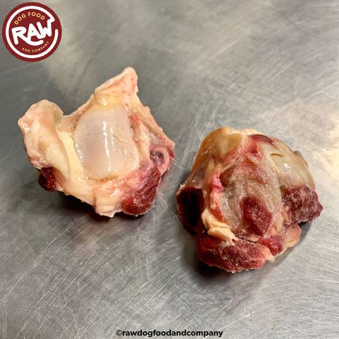 Bison Patella (Kneecap) Bones (3 lb)