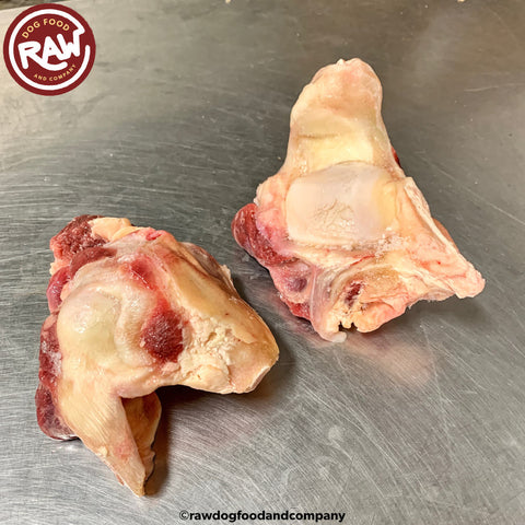 Bison Patella (Kneecap) Bones (3 lb)