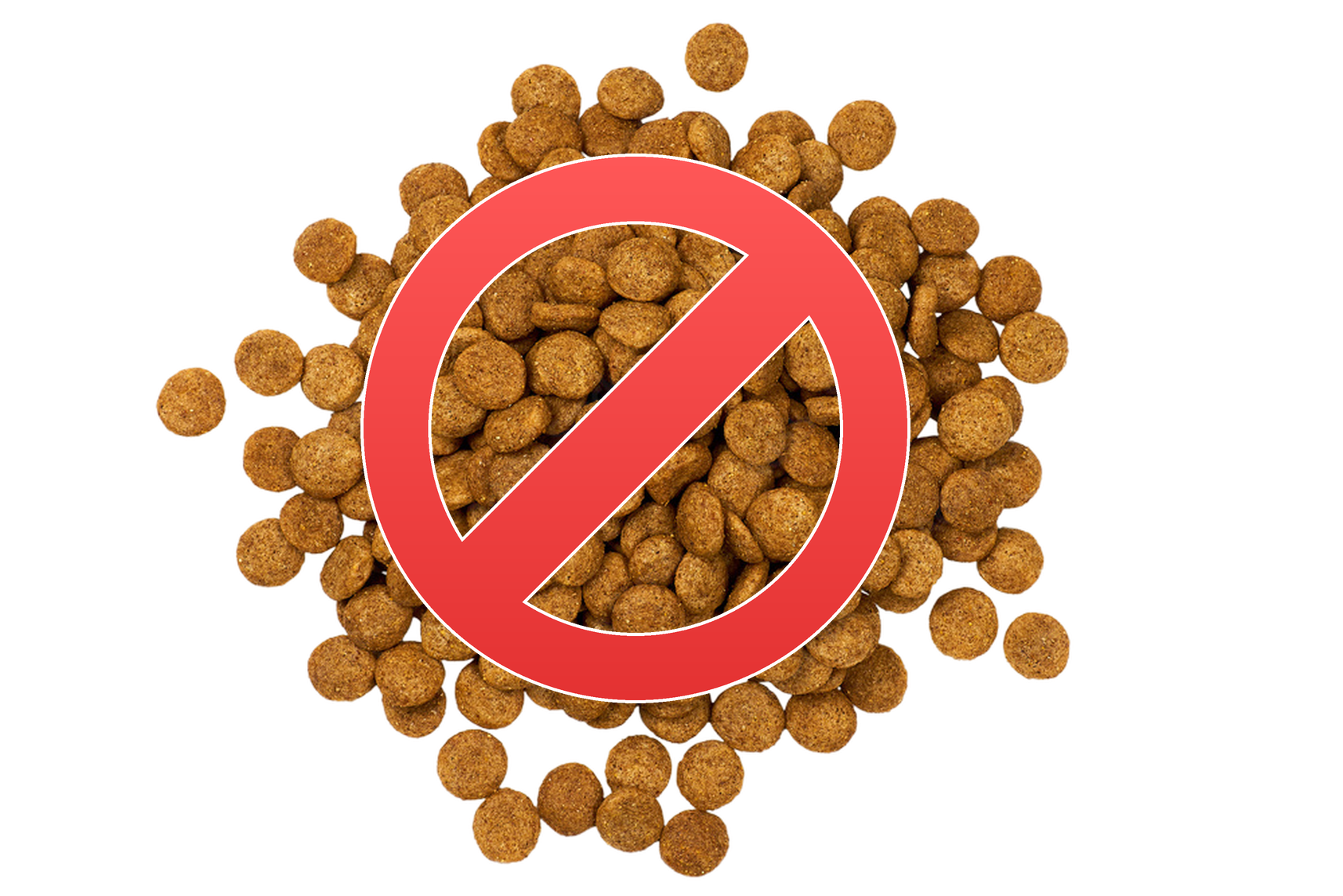 A pile of kibble with a red no-entry symbol over it
