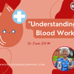 Understanding Blood Work