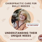 Chiropractic Care for Bully Breeds - Understanding Their Unique Needs